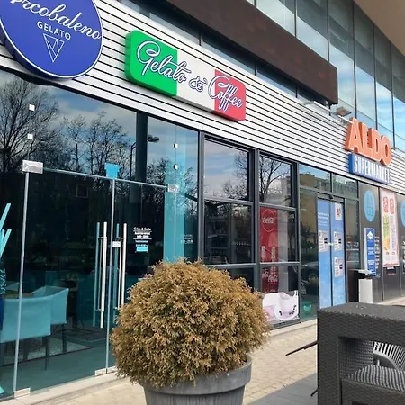 Joy Sunny Apartment *