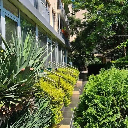 Joy Sunny Apartment